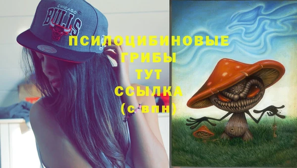 тгк Вяземский