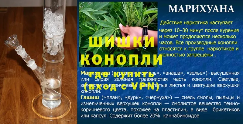 где продают наркотики  Оса  Бошки марихуана THC 21% 